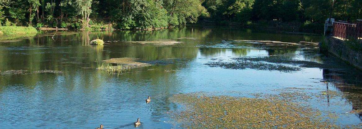 A bucolic getaway at the Arche de la Nature