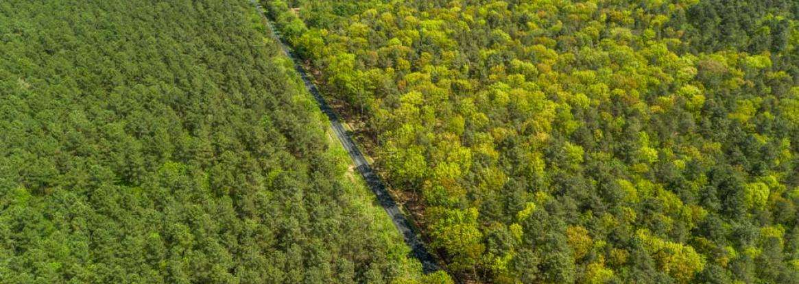 Le Mans et la campagne mancelle à vélo