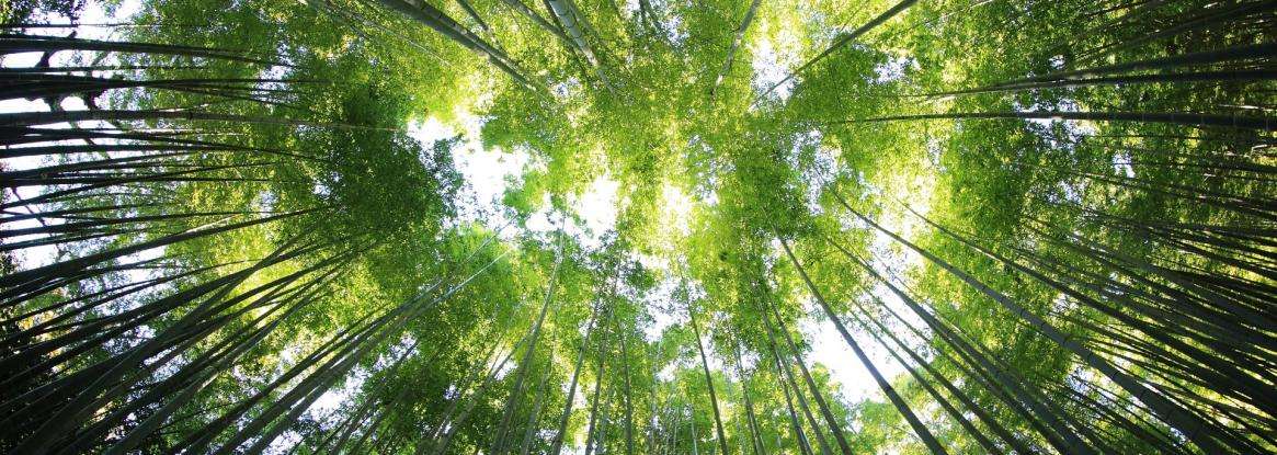 Une escapade à l’Arche de la Nature