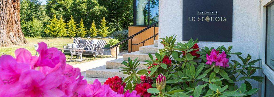 Summer Flavors & Timeless Moments at Restaurant Séquoia